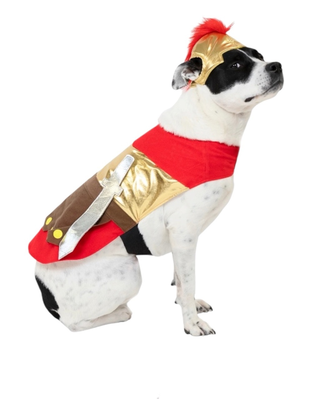 Pet Gladiator Costume - Red & Gold Dog Outfit Large
